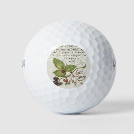 ブラックベリーとノッチンガムキャッチフライ ゴルフボール