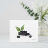ブラックベリーの水彩画 ポストカード (スタンド正面)