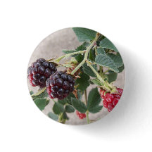 ブラックベリーの熟成