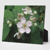 ブラックベリーの花のプレート フォトプラーク (側面)