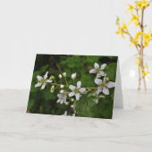 ブラックベリーの花 カード (黄色い花)