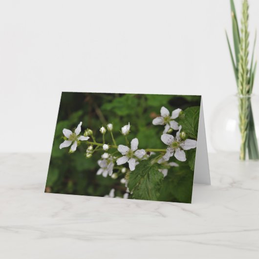 ブラックベリーの花 カード (正面)