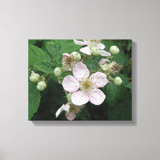 ブラックベリーの花 キャンバスプリント (正面)
