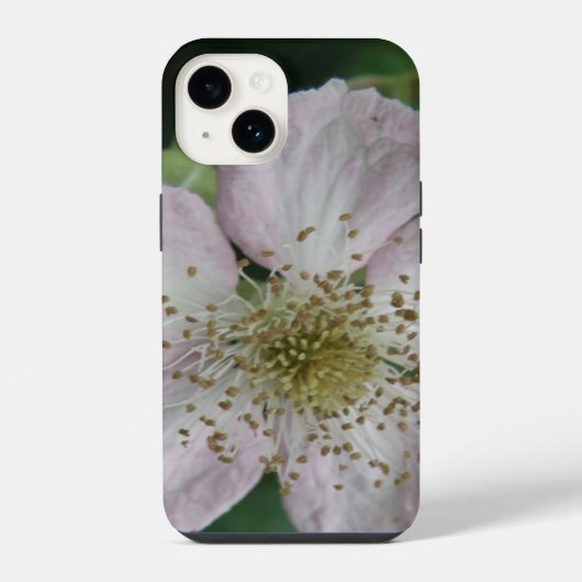 ブラックベリーの花 マクロ iPhoneケース (裏面)