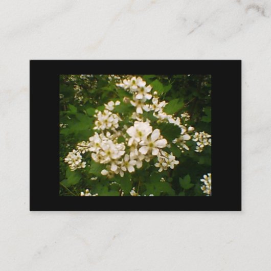 ブラックベリーの花 名刺 (正面)