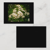 ブラックベリーの花 名刺 (正面/裏面)