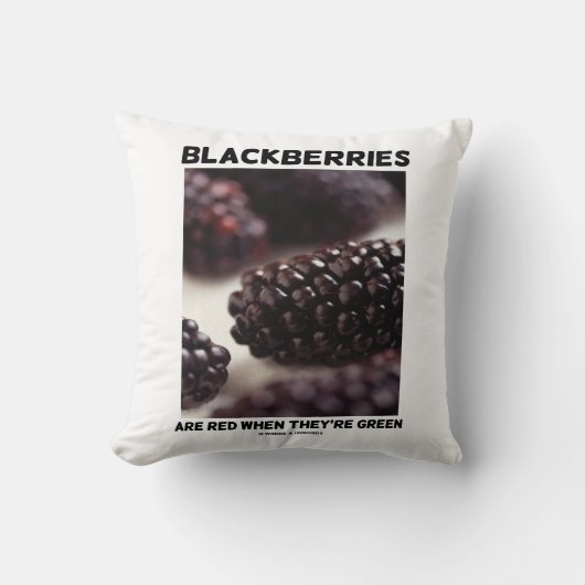 ブラックベリーは緑の時は赤 クッション (正面)