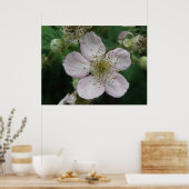 ブラックベリーフラワーマクロポスター ポスター (キッチン)