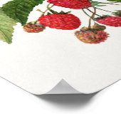 ブラックベリーフルーツウォーターの色絵画の枝 ポスター (角)