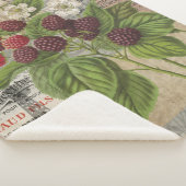 ブラックベリーフローラガーデンフラワーバタフライアート シェルパブランケット (3/4)