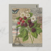 ブラックベリーフローラガーデンフラワーバタフライアート ポストカード (正面/裏面)