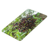 ブラックベリーボナンザプレミアムマグネット マグネット (左側)