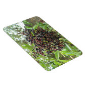 ブラックベリーボナンザプレミアムマグネット マグネット (右側)