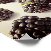 ブラックベリー写真。買今 ポスター (角)