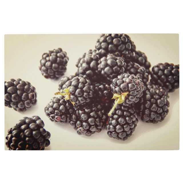 ブラックベリー写真。買今 メタルプリント (正面)