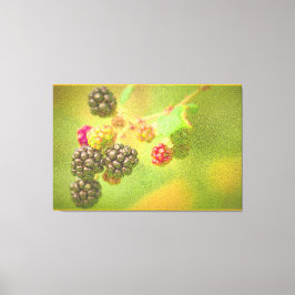 「ブラックベリー果実植物」かわいい写真。買今 キャンバスプリント