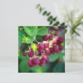 ブラックベリー カード (スタンド正面)