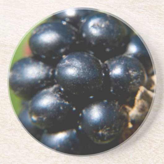 ブラックベリー コースター (正面)