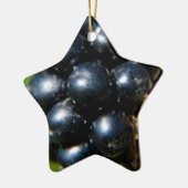 ブラックベリー セラミックオーナメント (左)