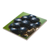 ブラックベリー タイル (側面)