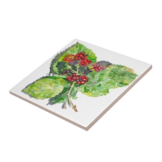 ブラックベリー タイル (側面)