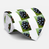 ブラックベリー ネクタイ (ロール)