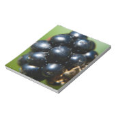 ブラックベリー ノートパッド (回転)