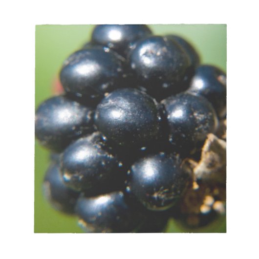 ブラックベリー ノートパッド (正面)