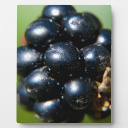 ブラックベリー フォトプラーク (正面)