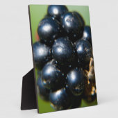 ブラックベリー フォトプラーク (側面)