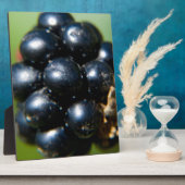 ブラックベリー フォトプラーク (側面)