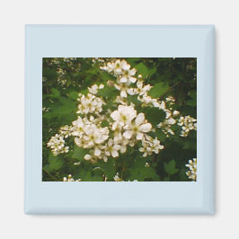 ブラックベリー ブルーム マグネット