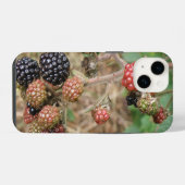 ブラックベリー・ボナンザ iPhoneケース (裏面横)