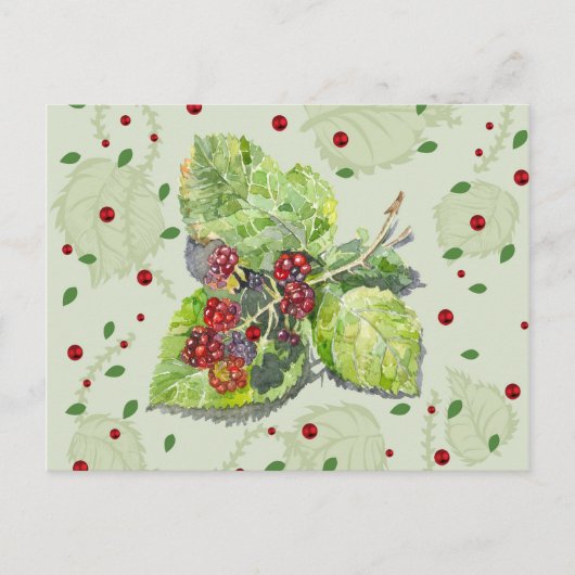 ブラックベリー ポストカード (正面)