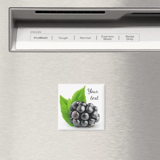 ブラックベリー マグネット (インサイチュ (食洗機))