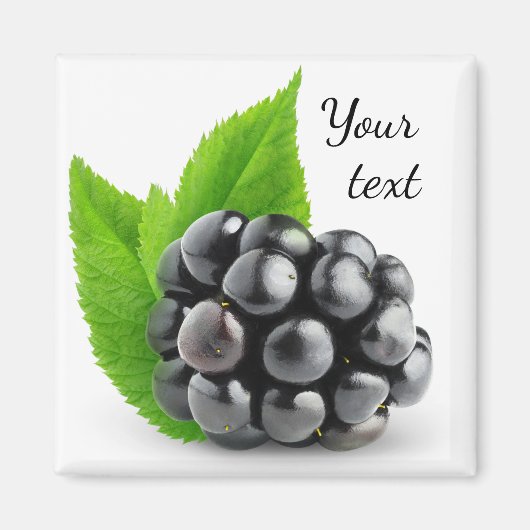 ブラックベリー マグネット (正面)