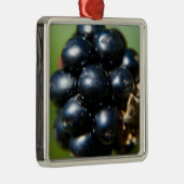 ブラックベリー メタルオーナメント (右)