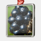 ブラックベリー メタルオーナメント (左)