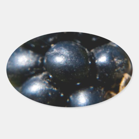 ブラックベリー 楕円形シール (正面)