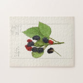 ブラックベリー(Rubus subg)Rubus Watson)フルーツ ジグソーパズル (横)