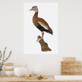 ブラックベルウィスリングダックプリント ポスター (キッチン)