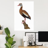 ブラックベルウィスリングダックプリント ポスター (ホームオフィス)