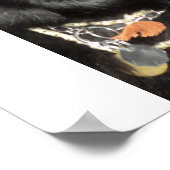 ブラックベルギーシェパード ポスター (角)