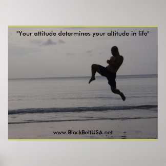 ブラックベルトUSAポスター1 ポスター