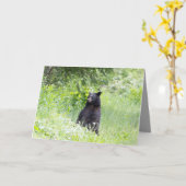 ブラックベ空白のアのグリーティングカード カード (黄色い花)