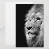 ブラックホワイトライオンの肖像 - 動物写真 便箋 (正面/裏面)