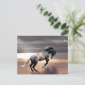 ブラックホースサンディビーチ海ポストクロッシング ポストカード (スタンド正面)