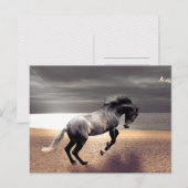 ブラックホースサンディビーチ海ポストクロッシング ポストカード (正面/裏面)