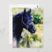ブラックホースデジタルアート ポストカード (正面/裏面)