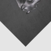 ブラックホースバラお洒落おとぎ話の水色 薄葉紙 (詳細)